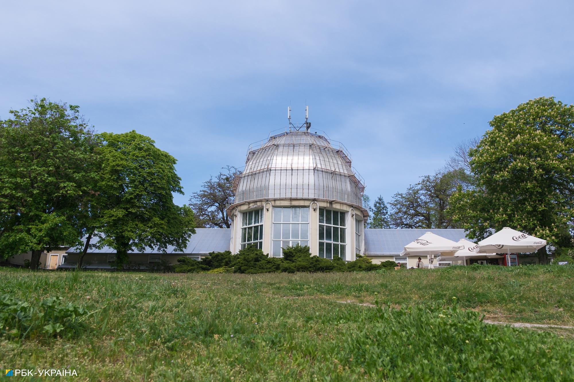 Бузок старіє, а кедр стане новим символом Києва, - Микола Шумик, Ботсад ім. Гришка